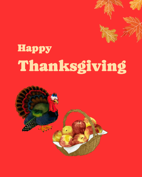 plenty to turkey & fruits